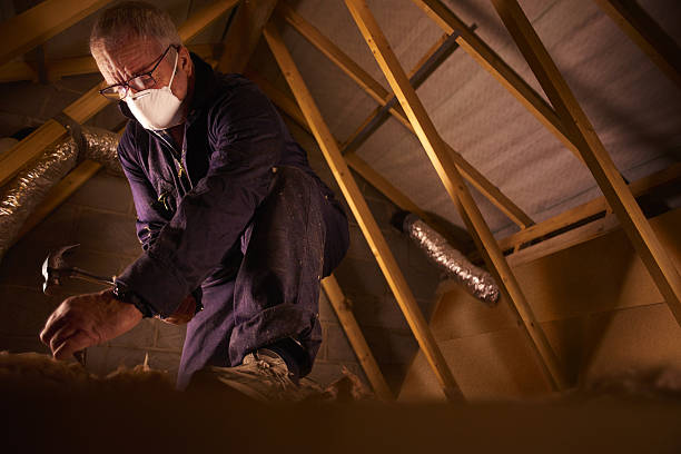 Best Eco-Friendly Insulation in Osgood, IN
